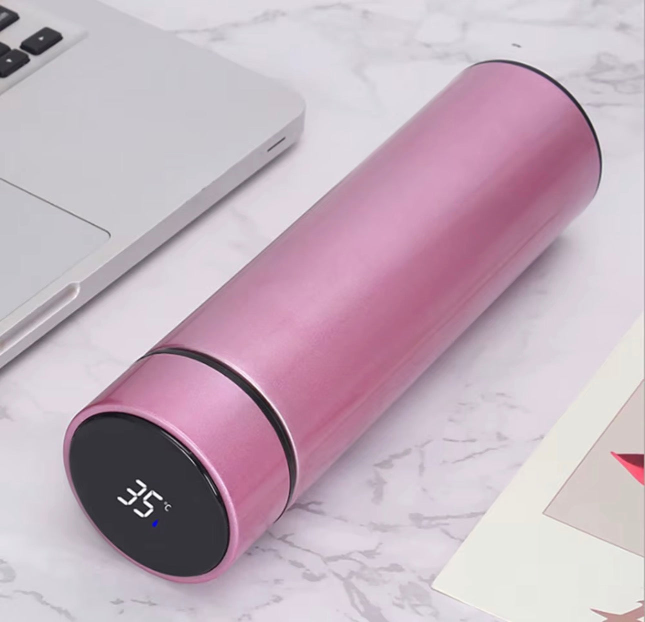 500ML stainless steel Temperature Display Smart Water Bottle
